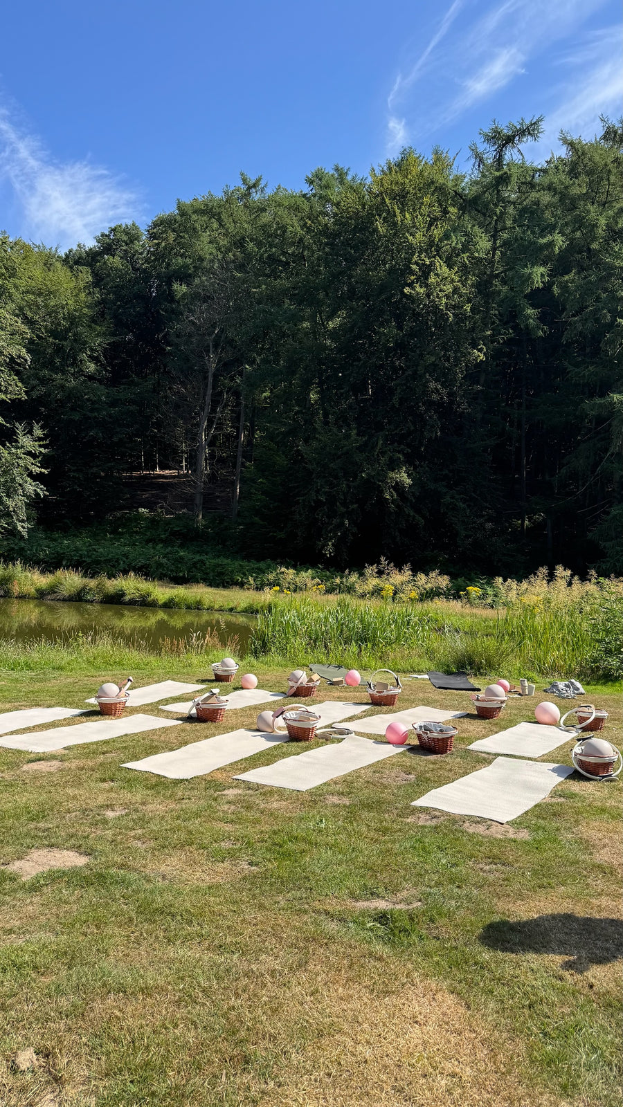 Pilates in the Park